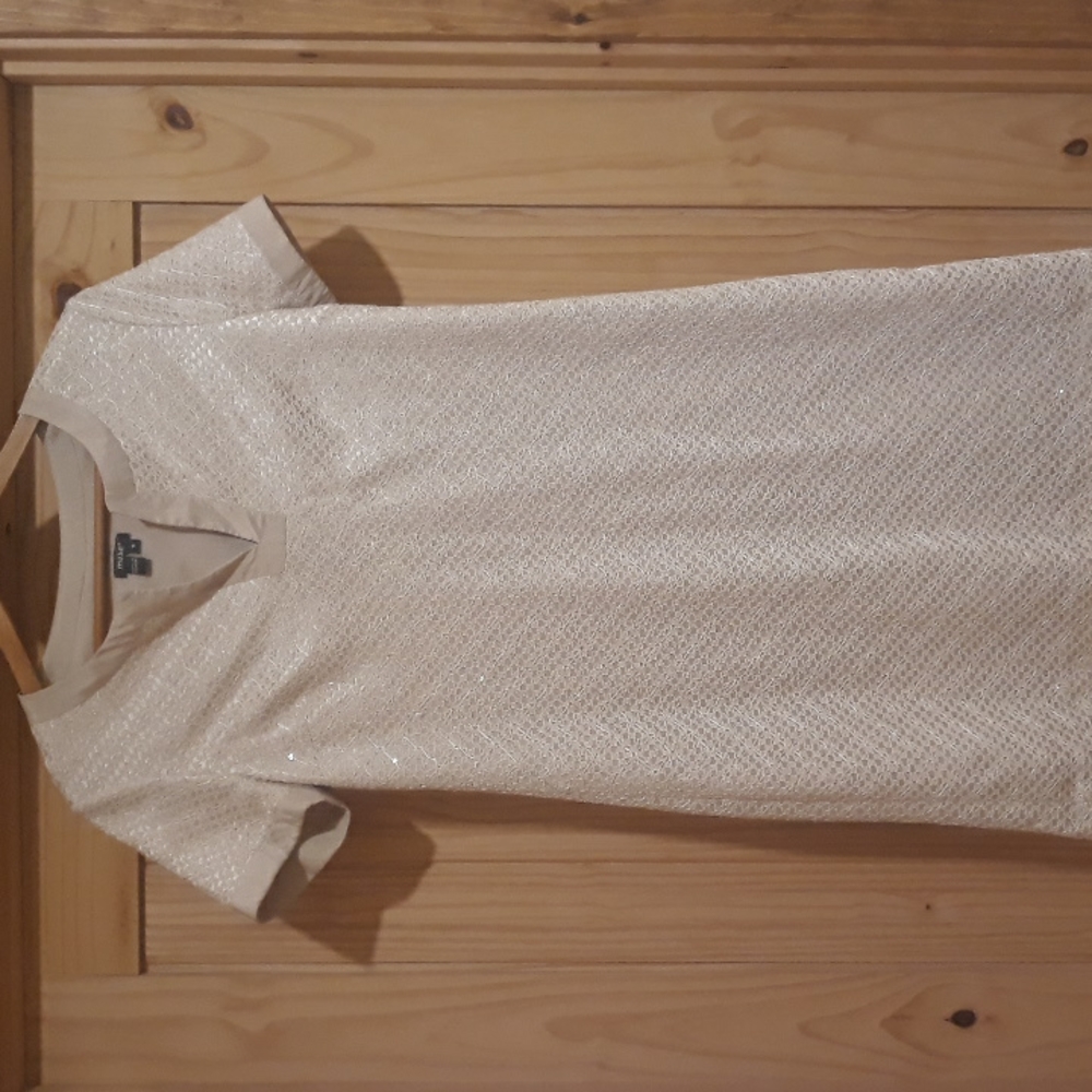Muse Short Sleeve Shift Dress. Size 8.